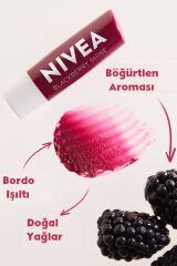 Lip Fruity Shine Blackberry